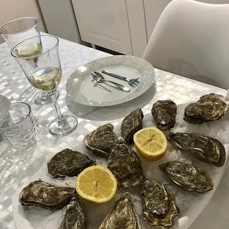 Appartement Le Musoir Le Tréport